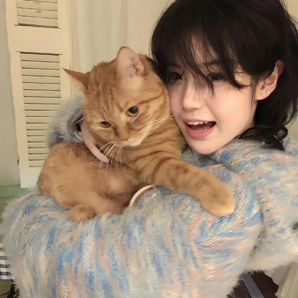 开局就失业：返乡途中卖盒饭