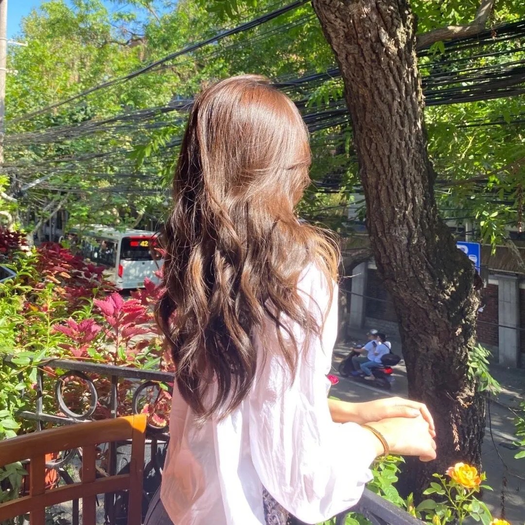 仓鼠与格蕾泰尔